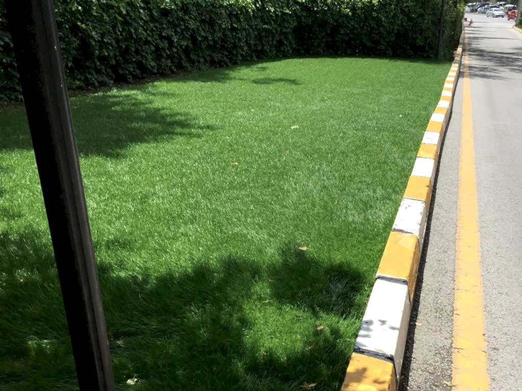 Anfa Ankara Park Bahçe Çimlendirmesi, doğal tohum halısı, rulo çim