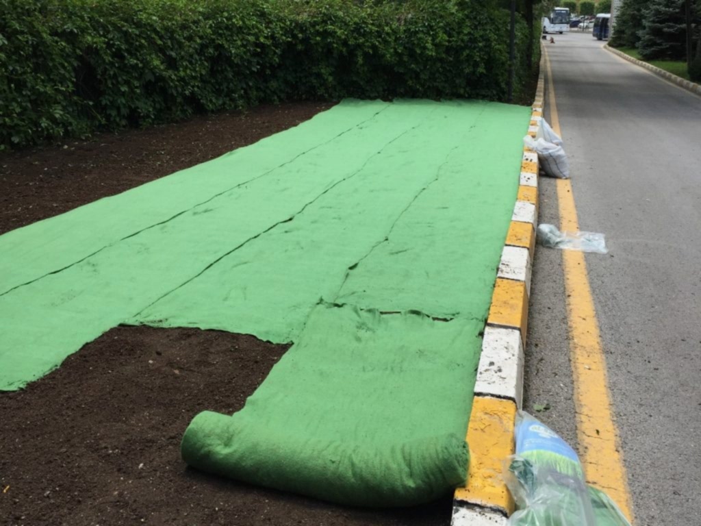 Anfa Ankara Park Bahçe Çimlendirmesi, doğal tohum halısı, rulo çim