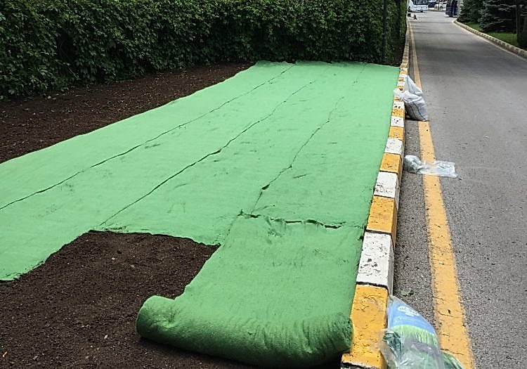 Anfa Ankara Park Bahçe Çimlendirmesi, doğal tohum halısı, rulo çim