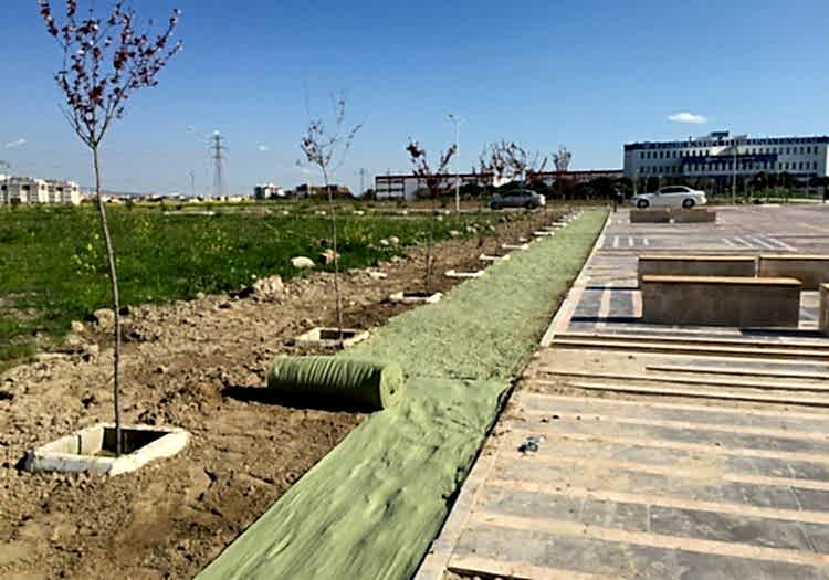 Katip Çelebi Üniversitesi Bahçe Çimlendirmesi, doğal tohum halısı, rulo çim