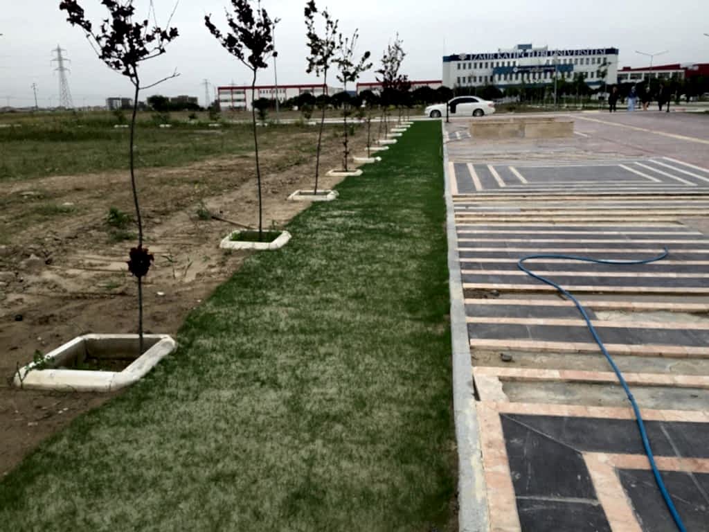 Katip Çelebi Üniversitesi Bahçe Çimlendirmesi, doğal tohum halısı, rulo çim