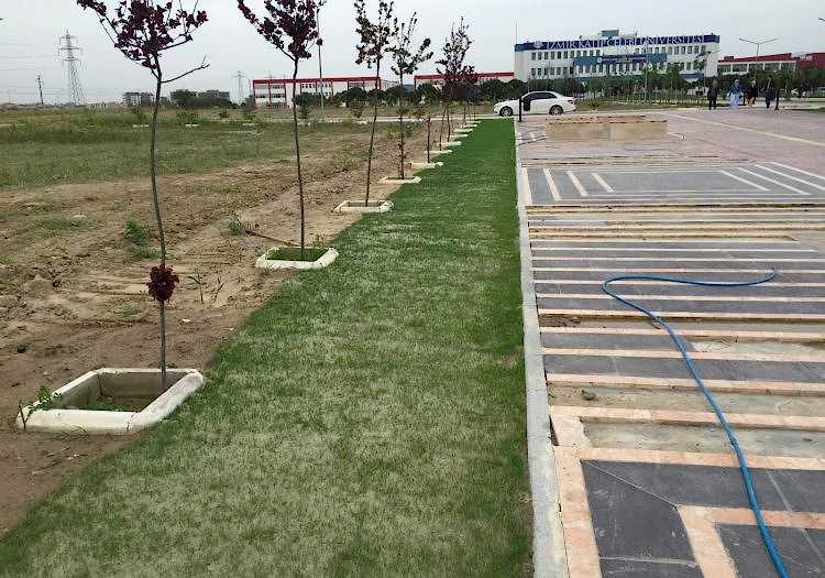 Katip Çelebi Üniversitesi Bahçe Çimlendirmesi, doğal tohum halısı, rulo çim