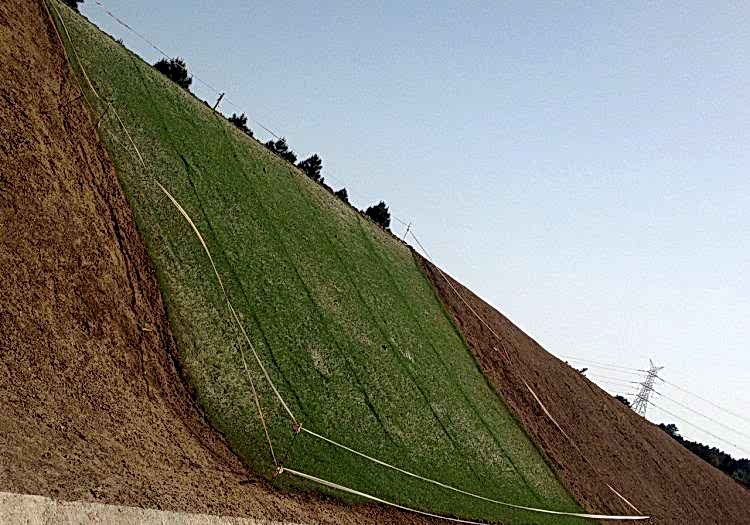 Üçüncü Köprü Meyilli Alan Çimlendirmesi, doğal tohum halısı, rulo çim