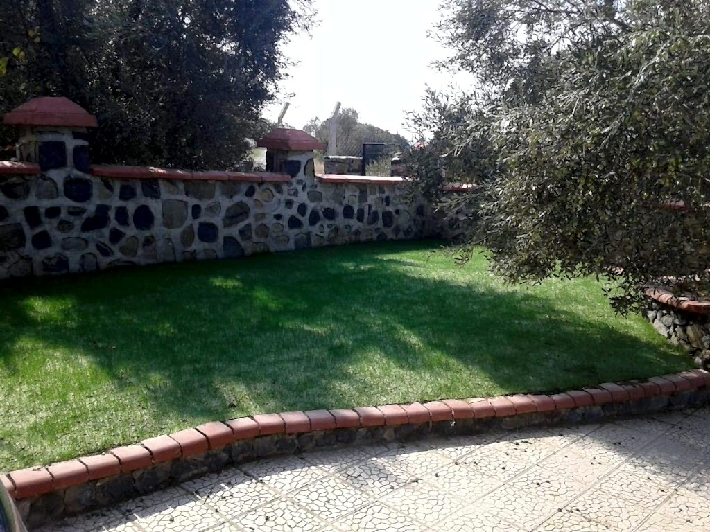 Villa Bahçe Çimlendirmesi, doğal tohum halısı, rulo çim