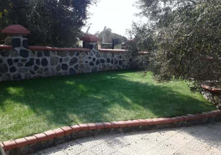 Villa Bahçe Çimlendirmesi, doğal tohum halısı, rulo çim
