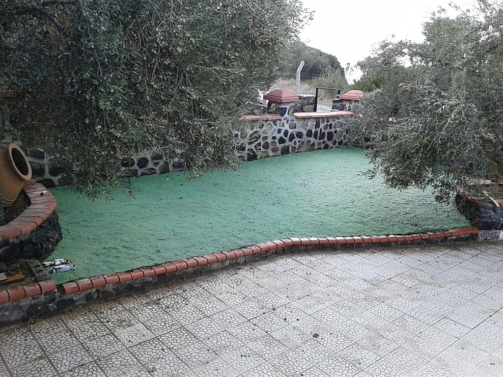 Villa Bahçe Çimlendirmesi, doğal tohum halısı, rulo çim