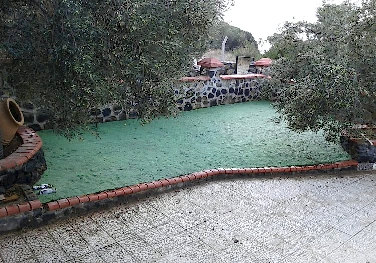 Villa Bahçe Çimlendirmesi, doğal tohum halısı, rulo çim
